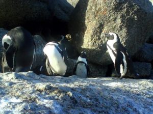fina pinviner som hejade på
