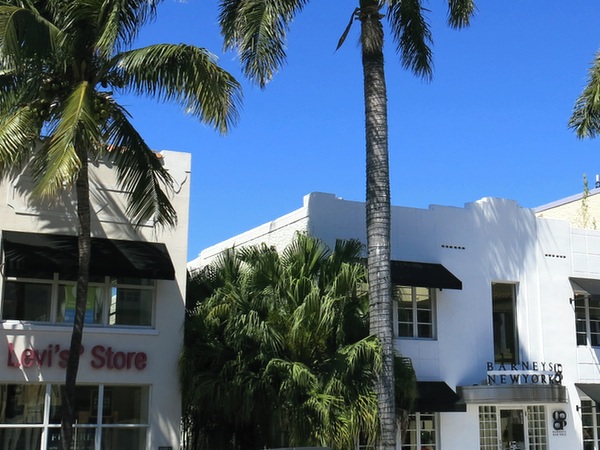 Palmer och blå himmel i Miami