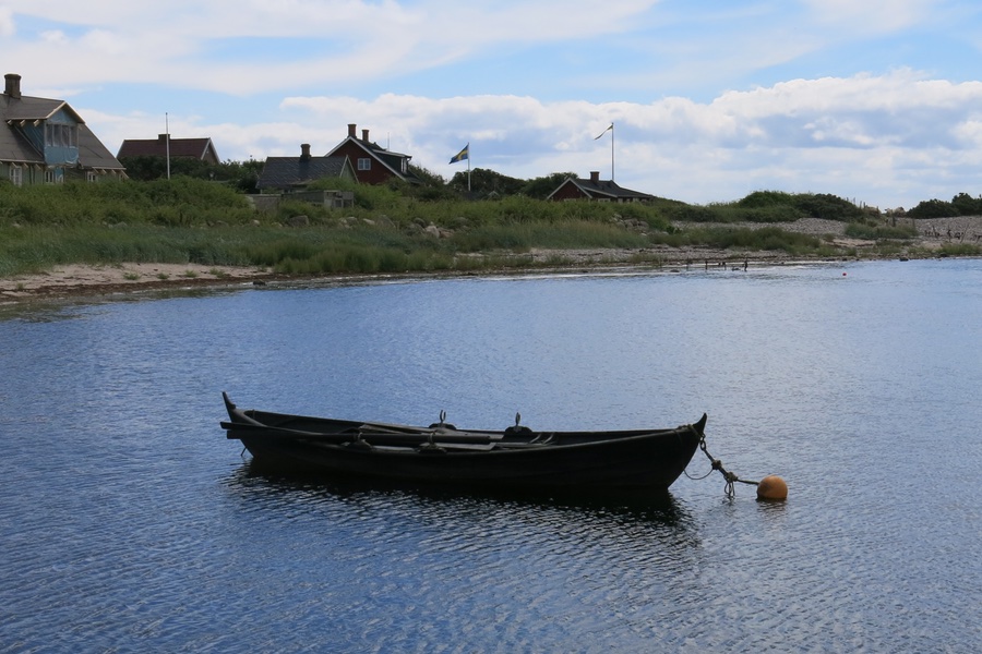 En eka i Lerhamn