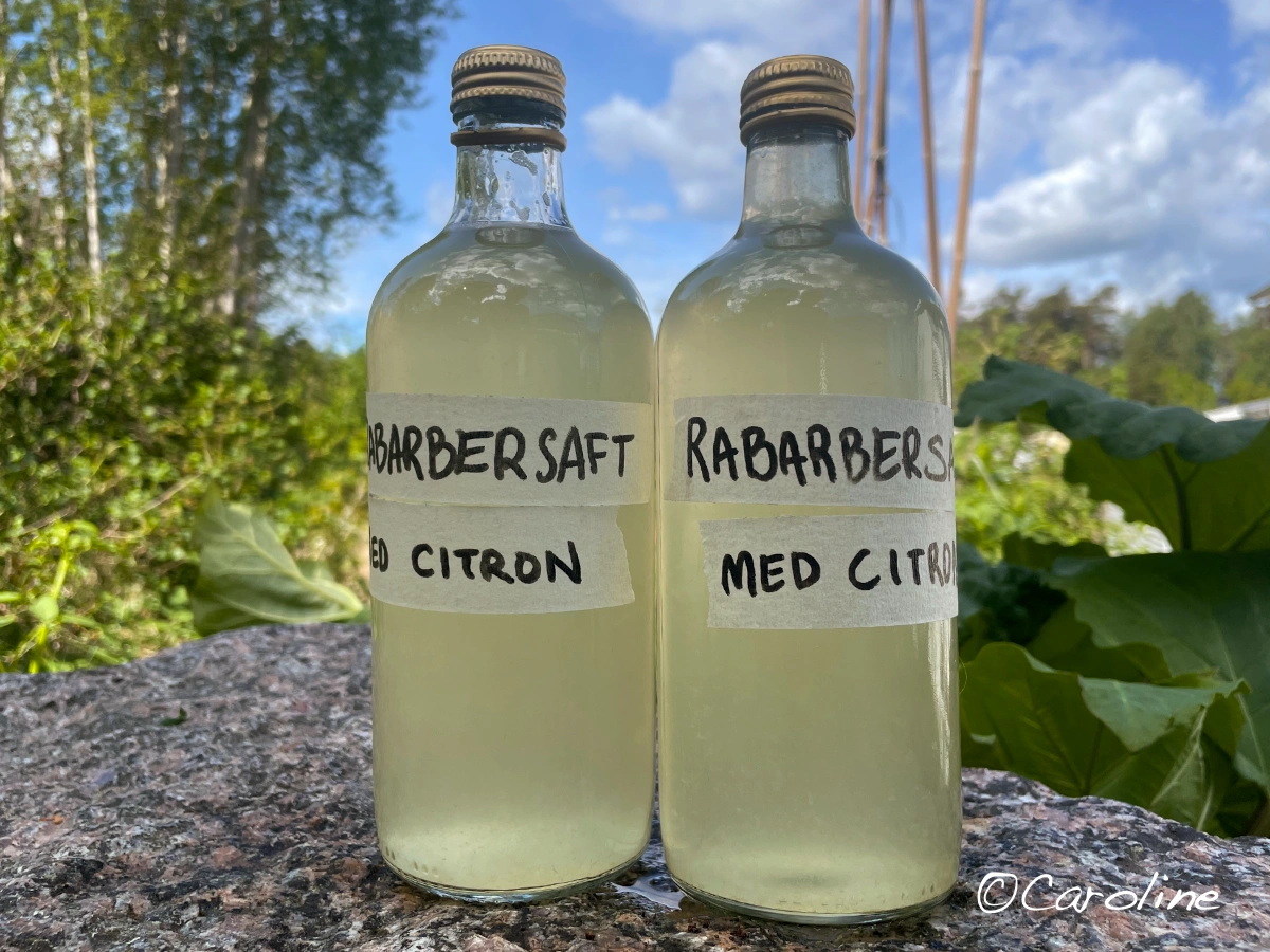 Rabarbersaft med citron