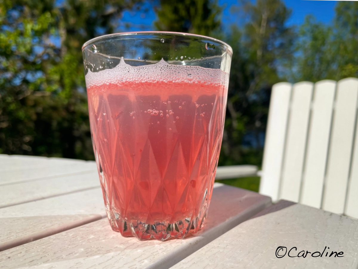 Rödare rabarbersaft med mindre socker